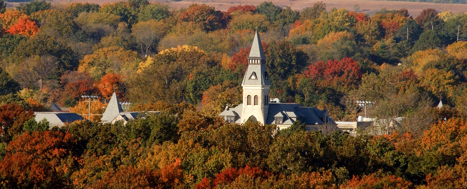 Anderson Hall through the trees