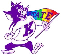 rainbow willie wildcat