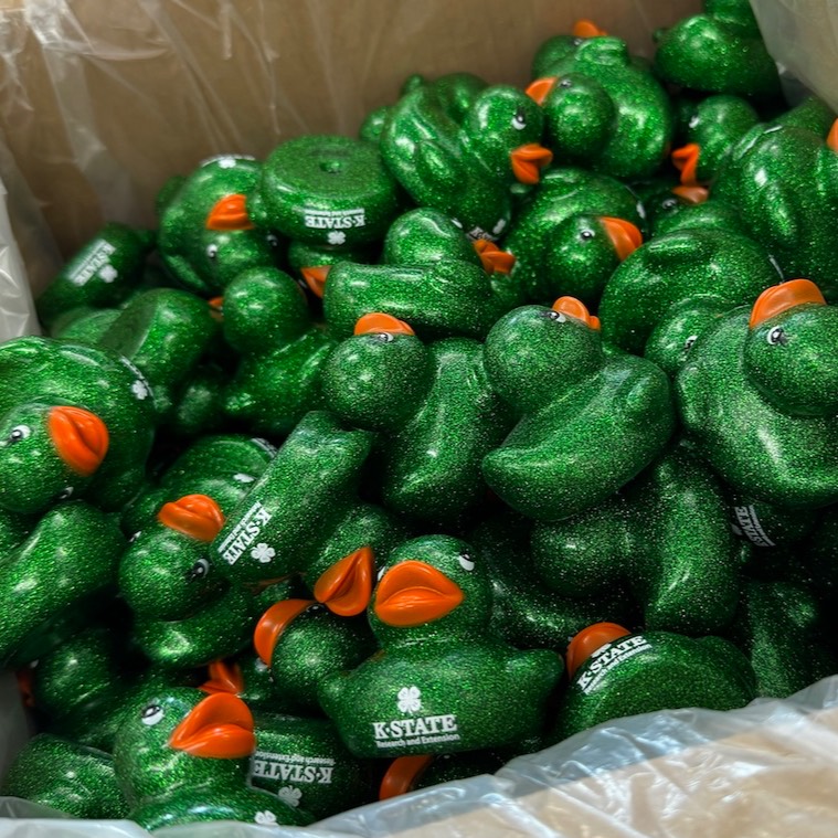 rubber duck