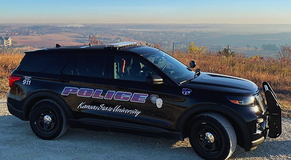 Police Car